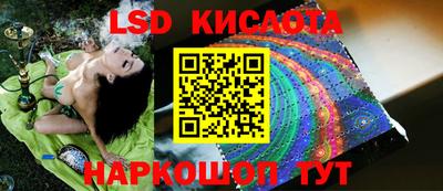 PSILOCYBIN Можга