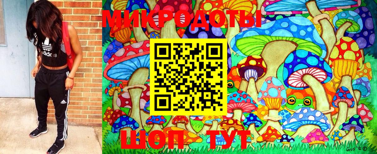 Псилоцибиновые грибы GOLDEN TEACHER  Псилоцибиновые грибы MAGIC MUSHROOMS  Вход с VPN  Узловая 