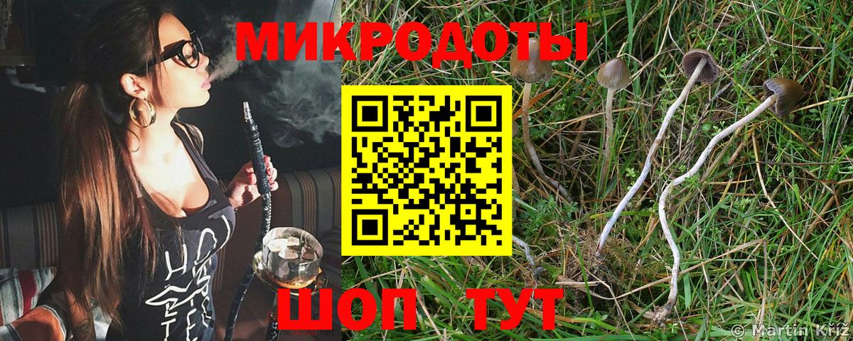 Галлюциногенные грибы прущие грибы Узловая